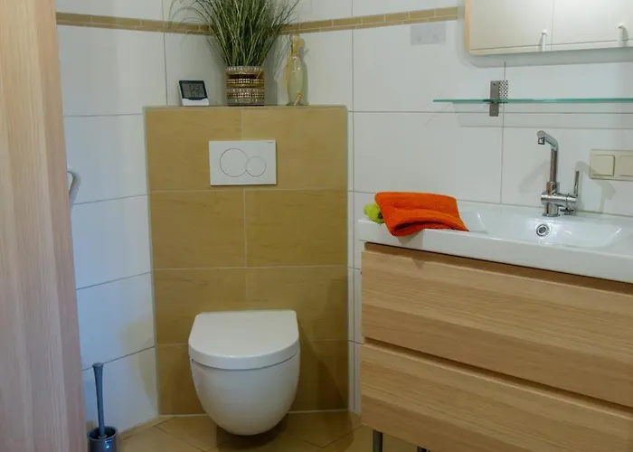 Collenberger Schaefer